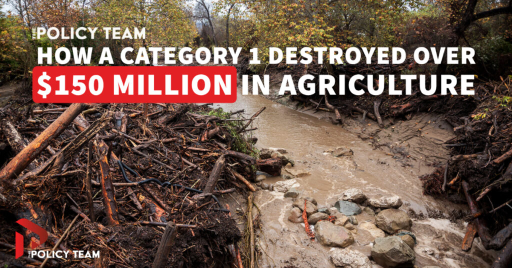 How a category 1 hurricane destroyed over 150 million in agriculture